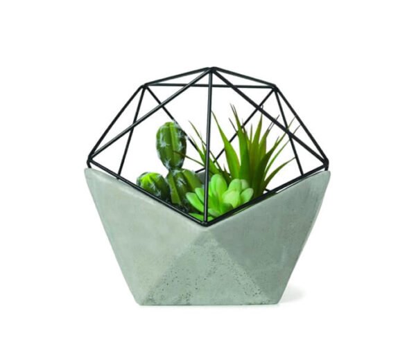 Philo Congo Green - Image 3