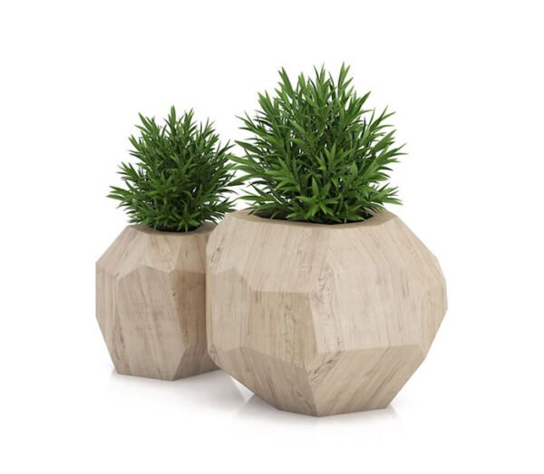 Philo Congo Green - Image 2