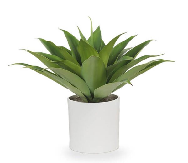 Piece lily - Image 3